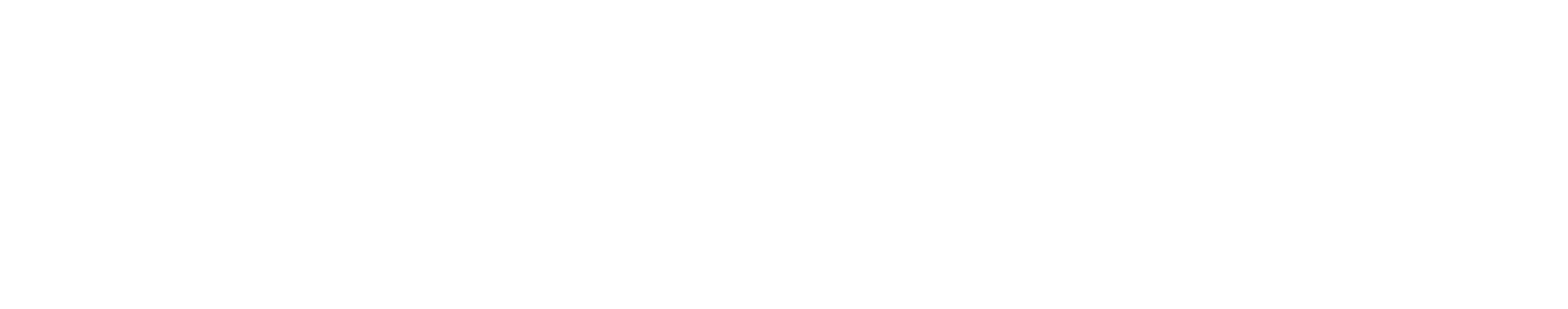 The Augusta Rule Logo White